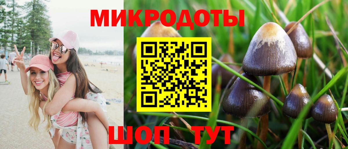 Псилоцибиновые грибы Psilocybe  Псилоцибиновые грибы GOLDEN TEACHER  Губаха  закладка  Вход с VPN 